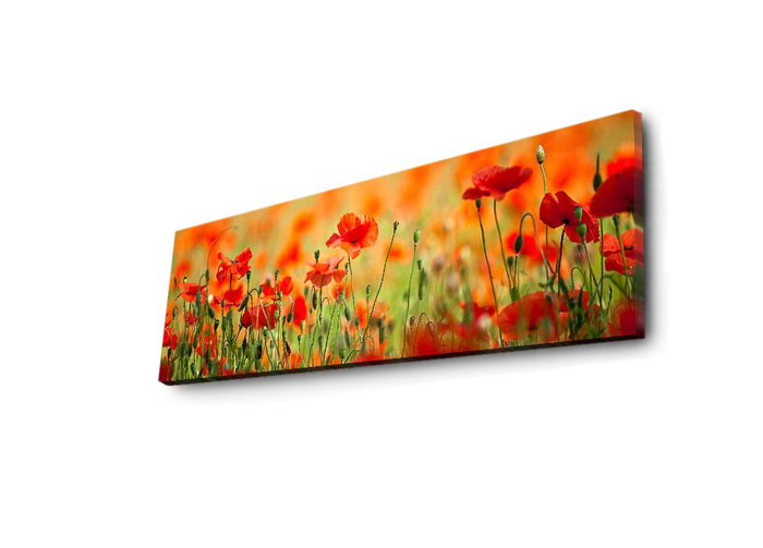 Wallity Cuadro Decorativo en Lienzo Iluminado con LED 30x90 cm Multicolor